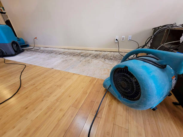 Professional Ceiling Water Damage Repair technician working in Greenwich, OH